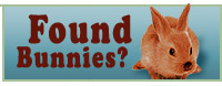 Found Bunnies