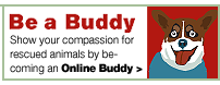 Be a Buddy