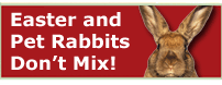 Easter and Rabbits