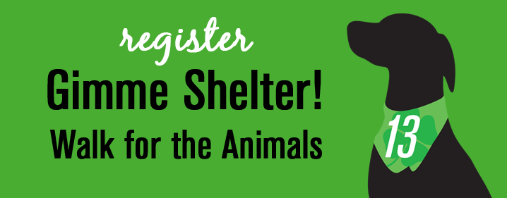 Gimme Shelter! Walk for the Animals