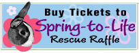 Spring-to-Life Rescue Raffle Drawing!