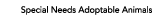 Special Needs Adoption