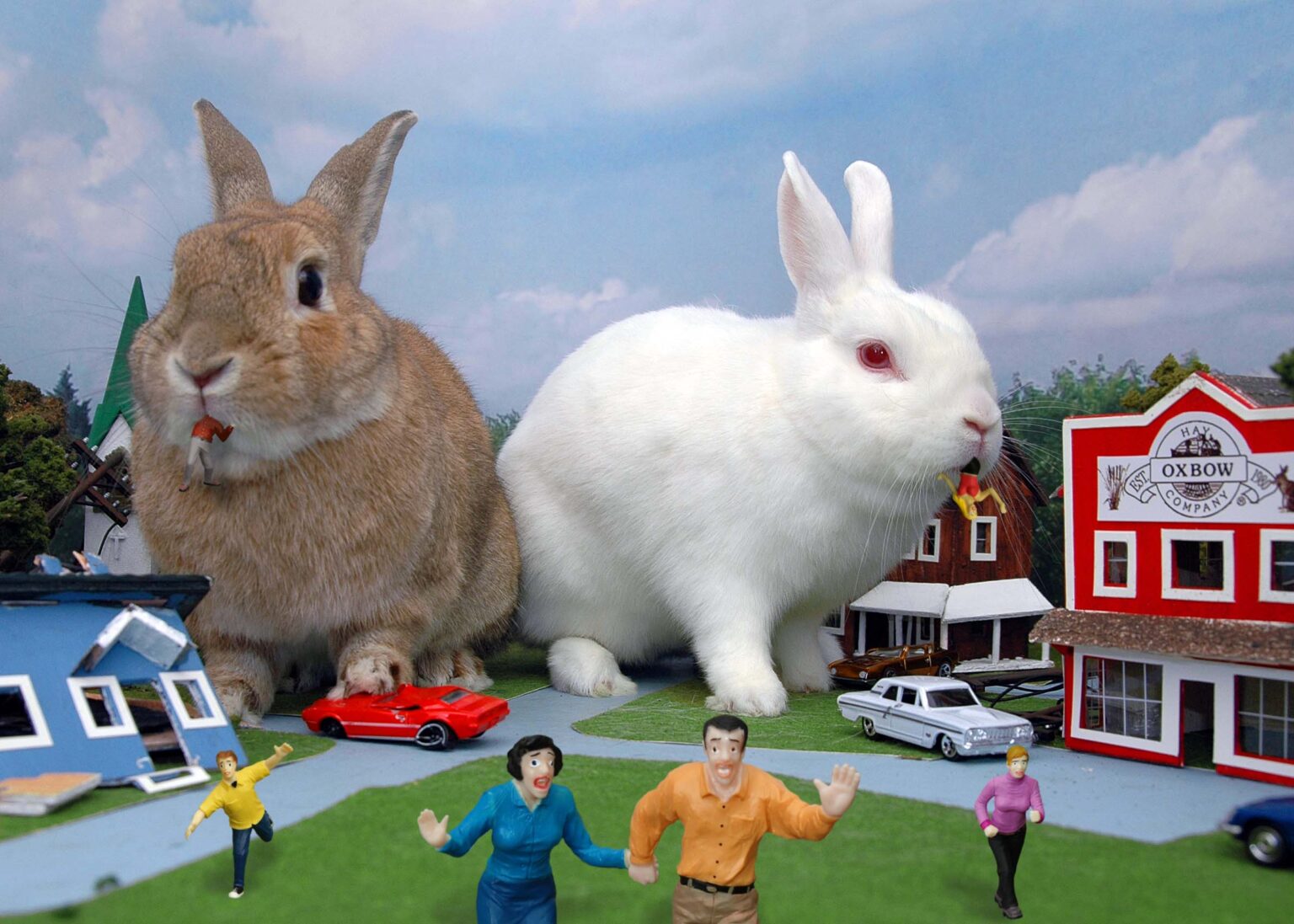 Bunny Bonding – Red Door Animal Shelter
